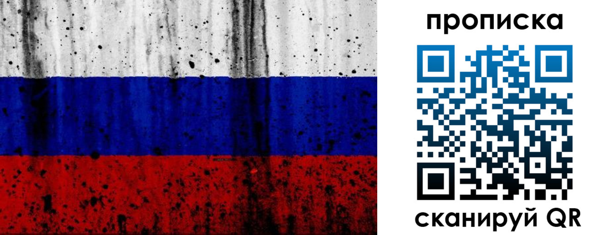прописка поиск в Высоковске